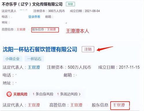 王澄澄老公爆料了吗视频,揭秘背后真相  第1张